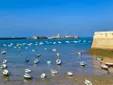 El Levante vuelve este martes a Cádiz y traerá más calor y alertas por viento, según la Aemet