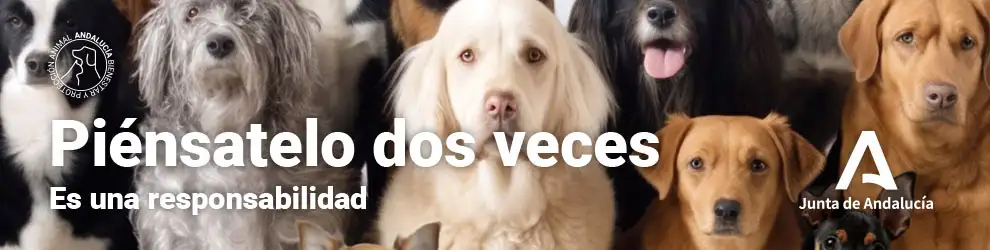 Animales Andalucía