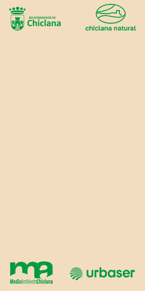 Ayuntamiento de Chiclana