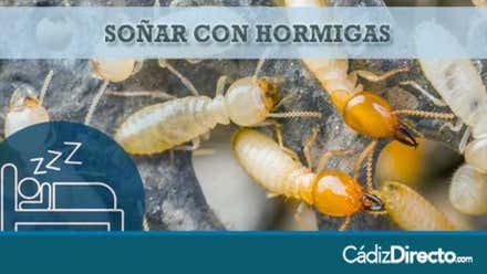 Hormigas