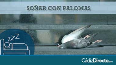 Palomas