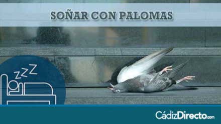 Palomas