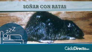 Ratas Negras