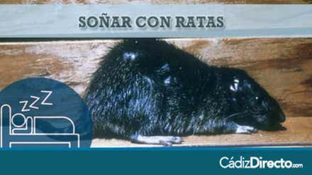 Ratas Negras