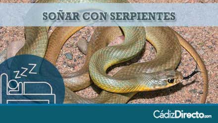 Serpientes