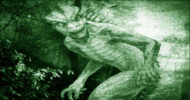 La temible y misteriosa 'bestia peluda' de Setenil de las Bodegas