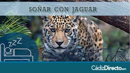 Felino Jaguar