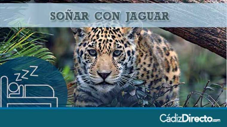 Felino Jaguar