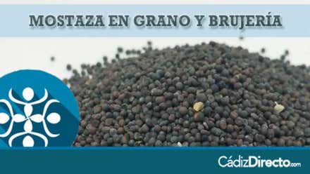 Mostaza