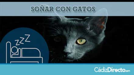 Gatos
