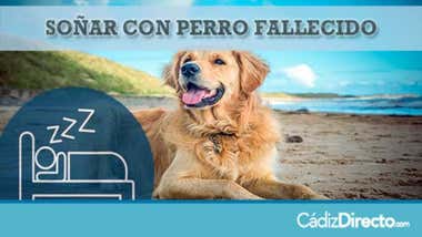 Perro