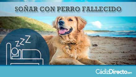 Perro