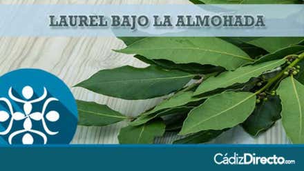 Rituales con Laurel
