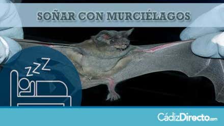 Murciélagos