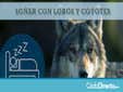 Soñar con Coyotes