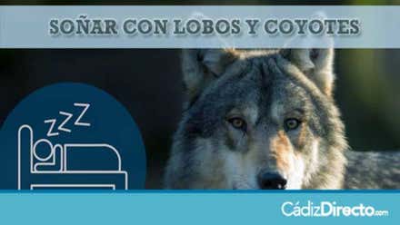 Lobos y Coyotes