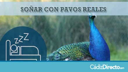 Pavo Real
