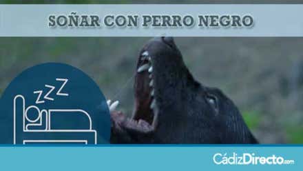 Perros Negros