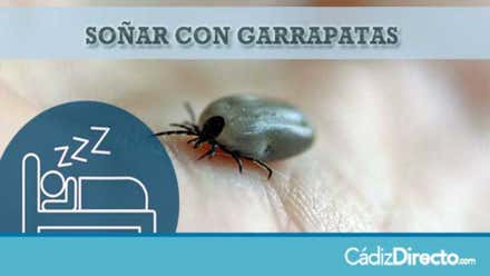 Garrapatas Grandes