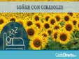 Soñar con Girasoles
