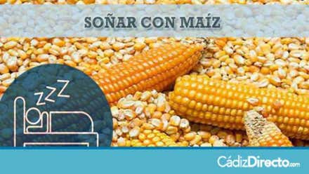 Mazorca de maíz