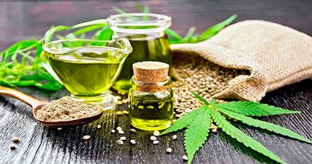 El CBD goza de estatus legal en España