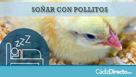 Pollitos