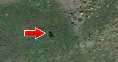 Fotografían un posible Bigfoot con Google Earth