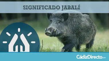 Jabalí