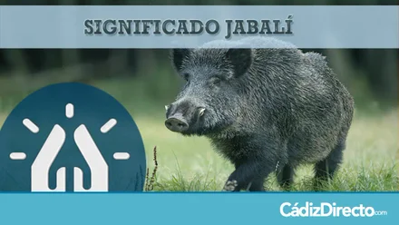 Jabalí