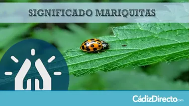 Mariquitas