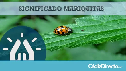 Mariquitas