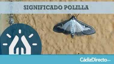 Polillas
