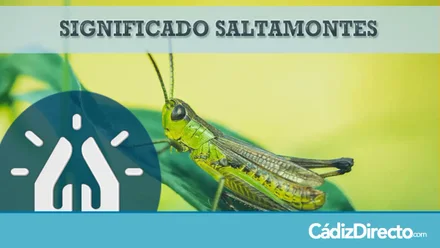 Saltamontes
