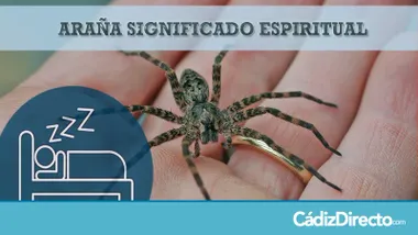 Araña