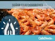 Soñar con Camarones Vivos o Muertos