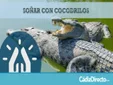 Qué Significa Soñar con Cocodrilos según la Biblia