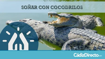 Cocodrilos
