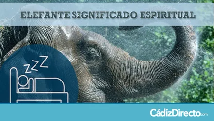 Elefante