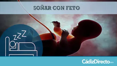 Feto humano