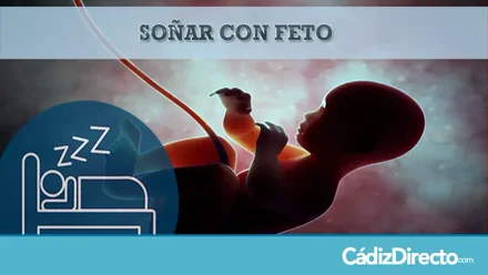 Feto humano