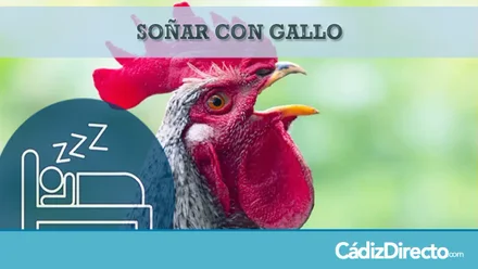 Gallo