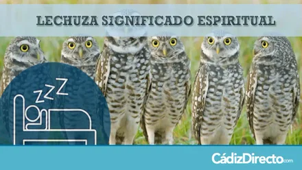 Lechuza