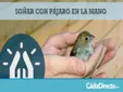 Soñar con Pájaro en la Mano