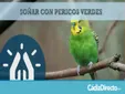 Qué Significa Soñar con Pericos Verdes