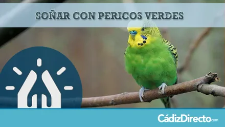 Periquito verde