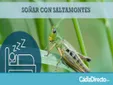 Soñar con Saltamontes