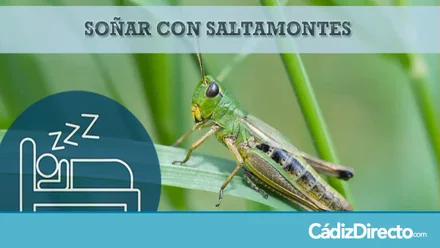 Saltamontes