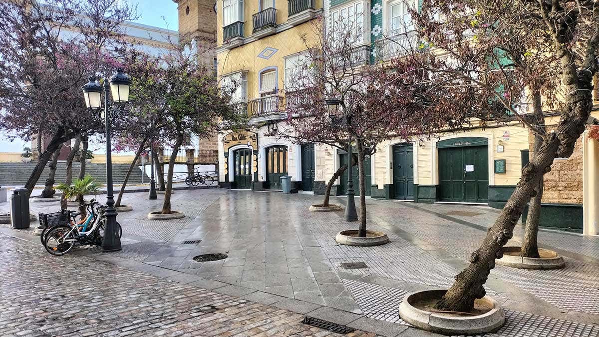 El Ayuntamiento de Cádiz pondrá el nombre de Plazuela Pablo Grosso al final de la calle Plocia