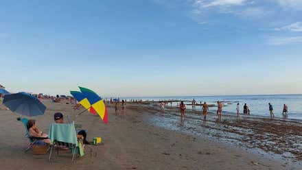50 picaduras y tercer día de bandera por presencia de medusas en una semana en Cádiz